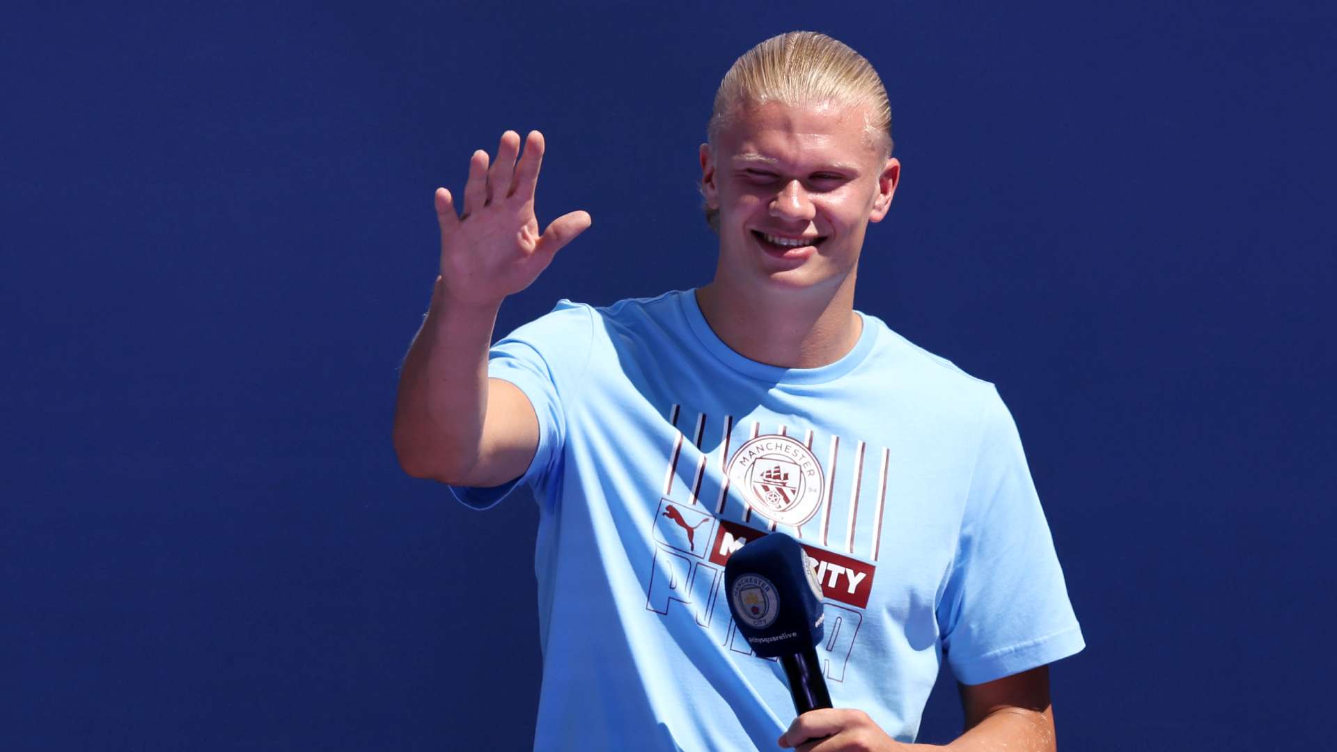 球迷们可以 球迷们可以