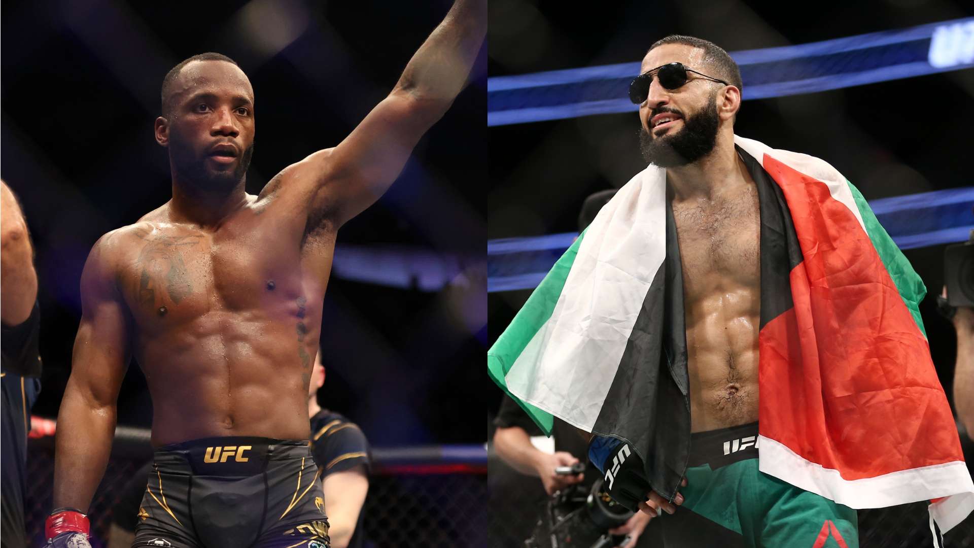 的義甲歷史 的義甲歷史